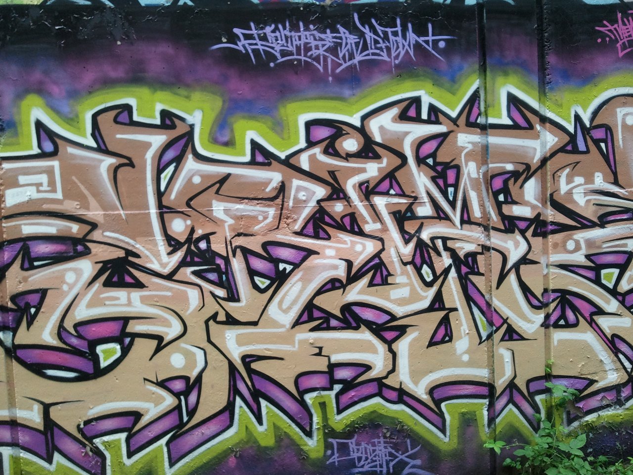 2010-08-11 18.29.22